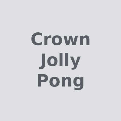 Логотип Crown Jolly Pong