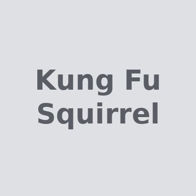 Логотип Kung Fu Squirrel