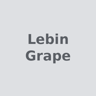 Логотип Lebin Grape