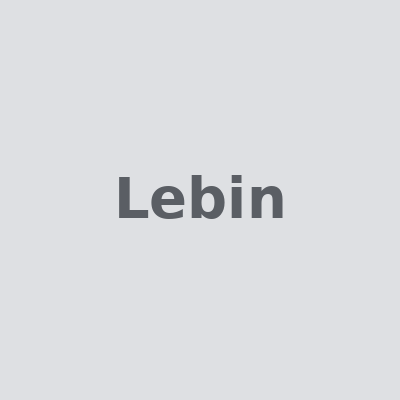 Логотип Lebin